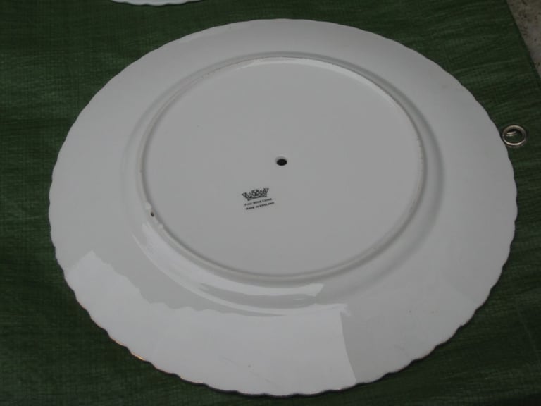 2 Large Cake and 4 Smaller Fine Bone China Plates of Similar Rose Pattern for Only £5.00