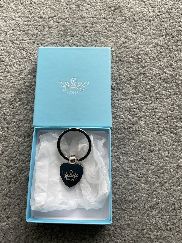 image for BRAND NEW IN ORIGINAL BOX PRINCESS DIANA SILVER PLATED COMMEMORATIVE KEYRING