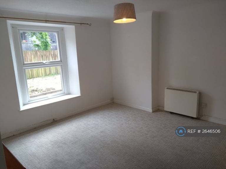 1 bedroom flat in Hoxton Road, Torquay, TQ1 (1 bed) (#2646506)