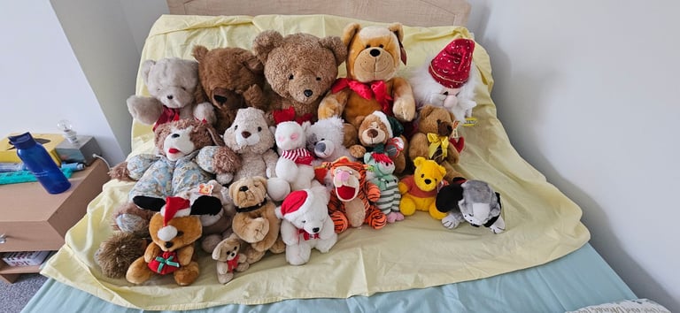 Bundle of 20+ Soft Toys – Teddies, Characters & Plush Animals