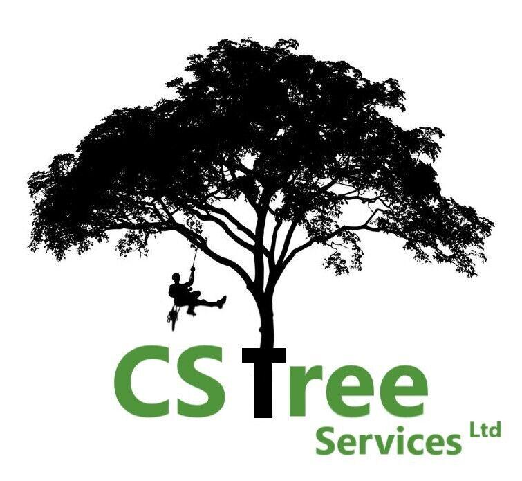 Professional Tree cutting felling pruning carried out in The Midlands