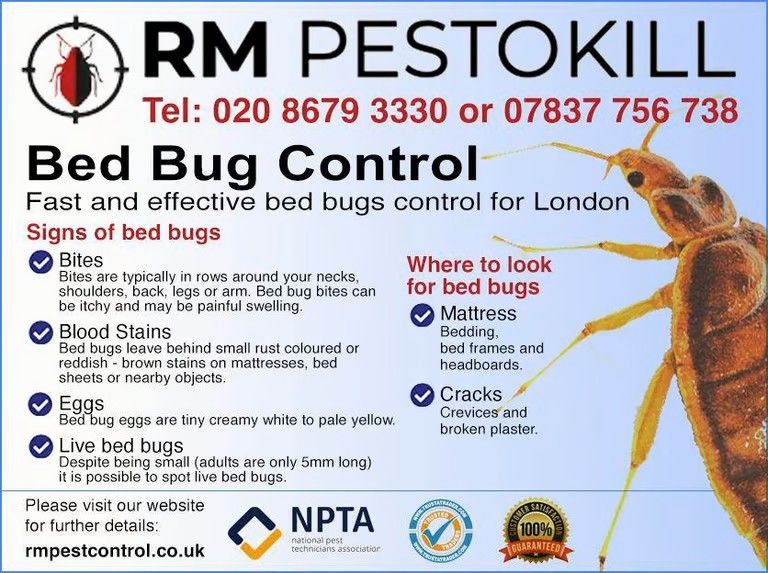 Say Goodbye to Pests! Expert Pest Control – Bed Bug, Wasps, Rats Etc. Fast & Affordable! 🚫✅
