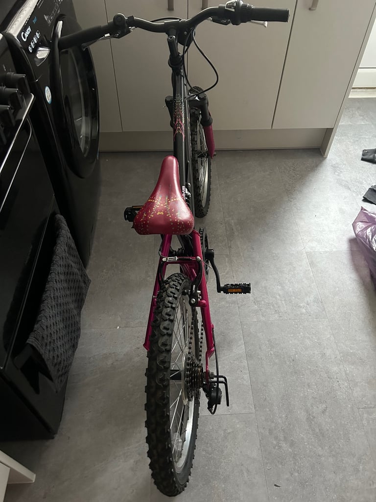 image for Kids Apollo charm bike 20inch 