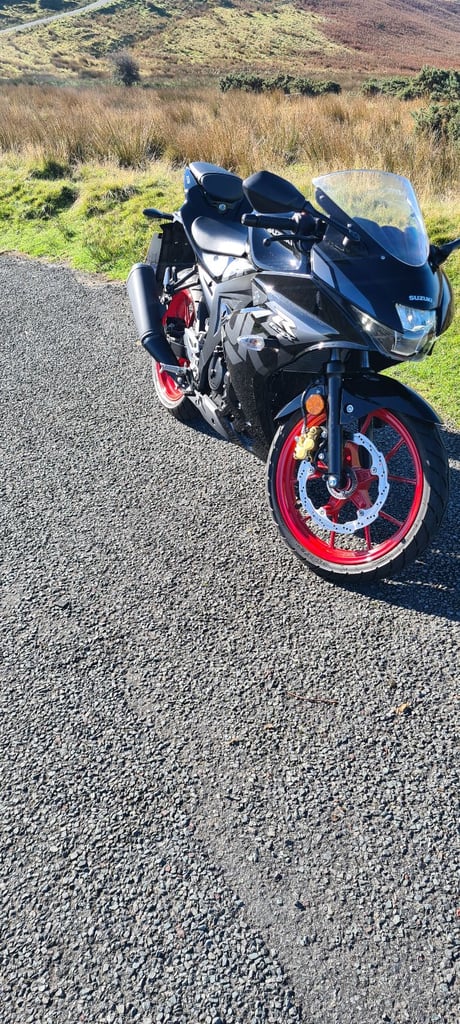 Suzuki, GSX-R, 2023, 124 (cc)