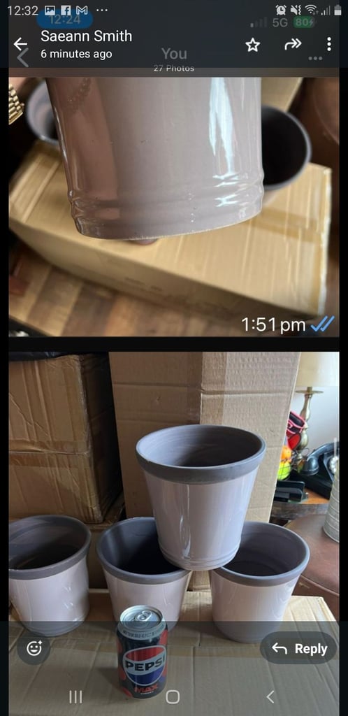 image for Ceramic plant pots 