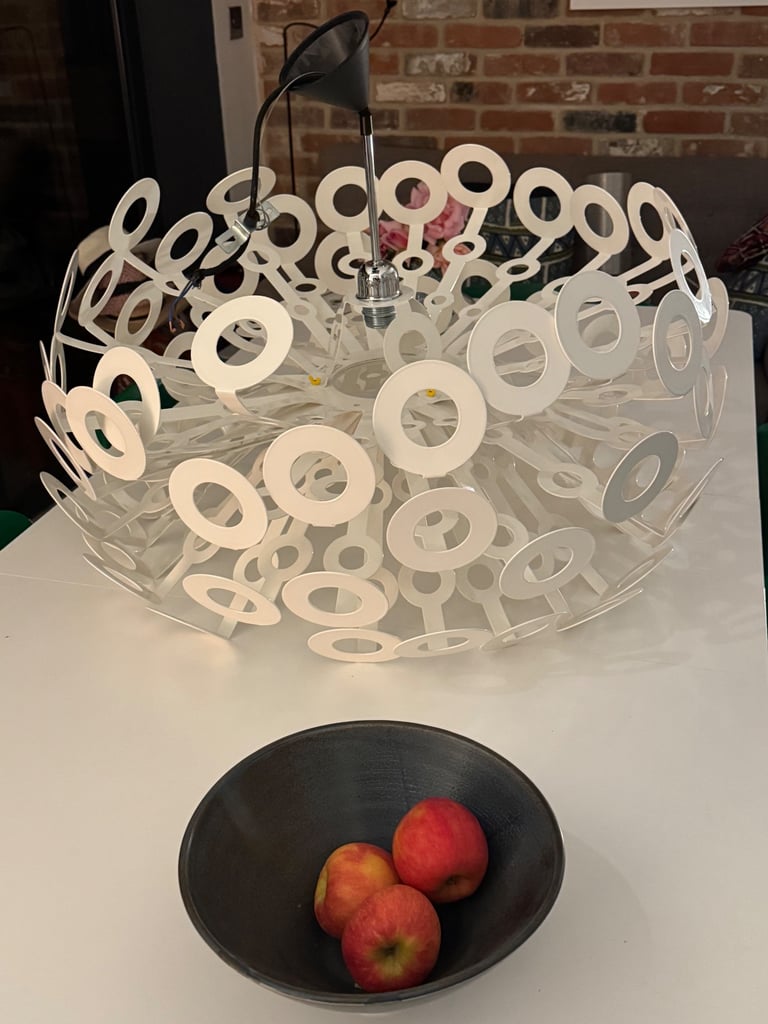 image for Iconic 'Dandelion' ceiling light by Dutch designer Richard Hutten