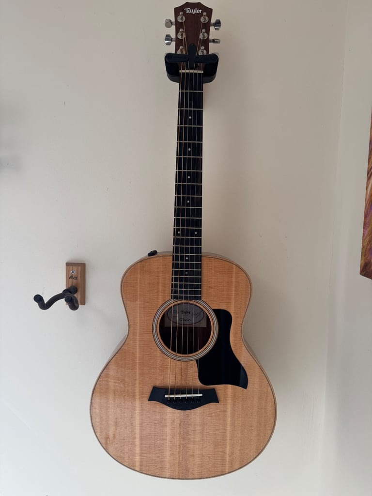 image for Taylor, GS mini-e, Rosewood Plus 2024