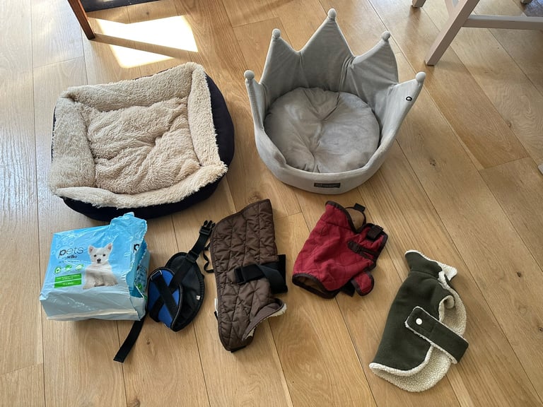 Small dog beds and coats