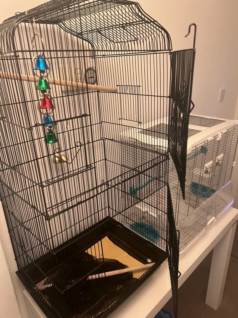 Tall bird cage 