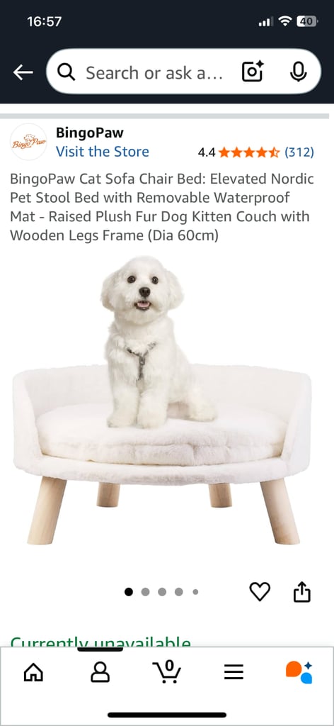 Cat sofa bed