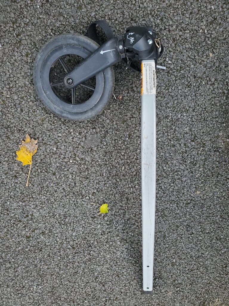 Burley D'Lite X double bike trailer