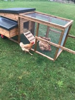 4 chicken wooden hen ark with cage on wheels 