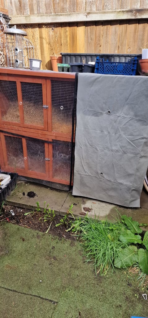 image for Rabbit hutch