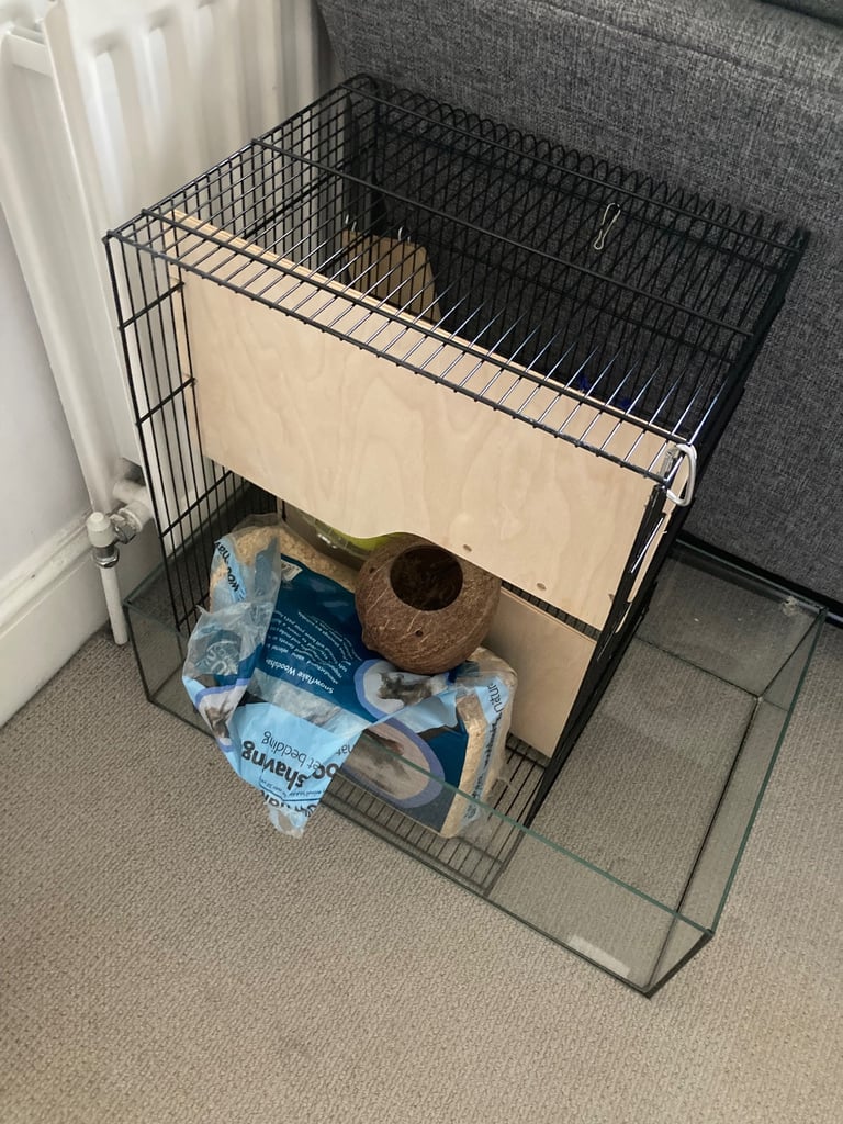 FREE hamster home and accessories 