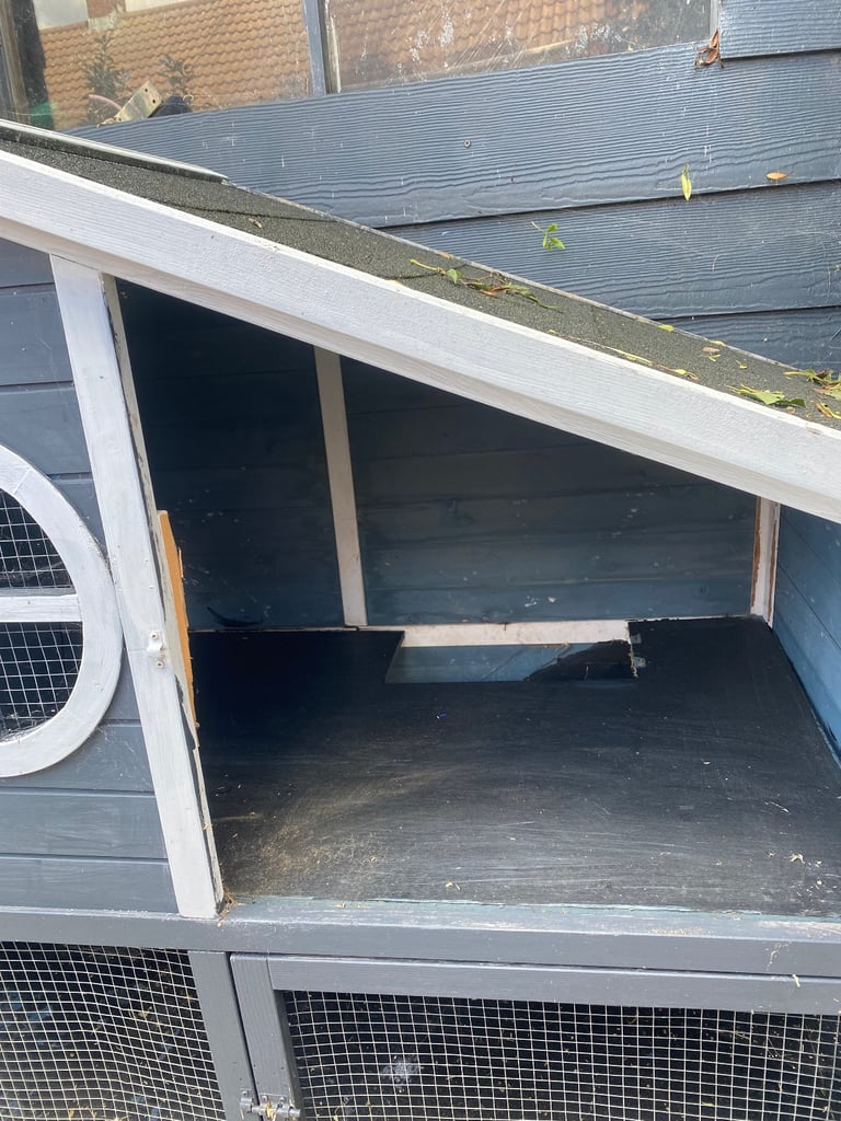 Hutch for Guinea pigs and rabbits 