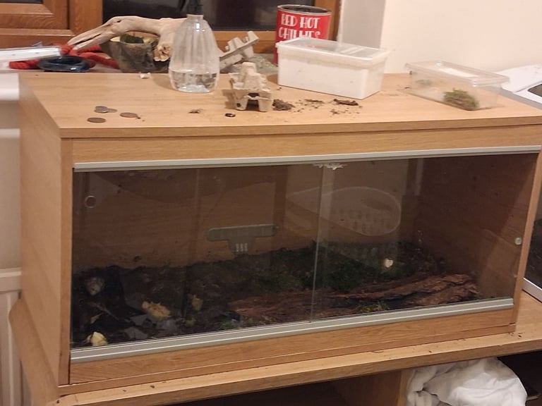 Vivarium 