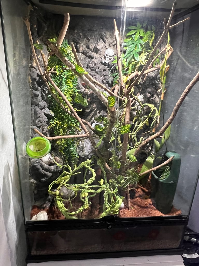 Exo Terra Glass Reptile Terrarium
