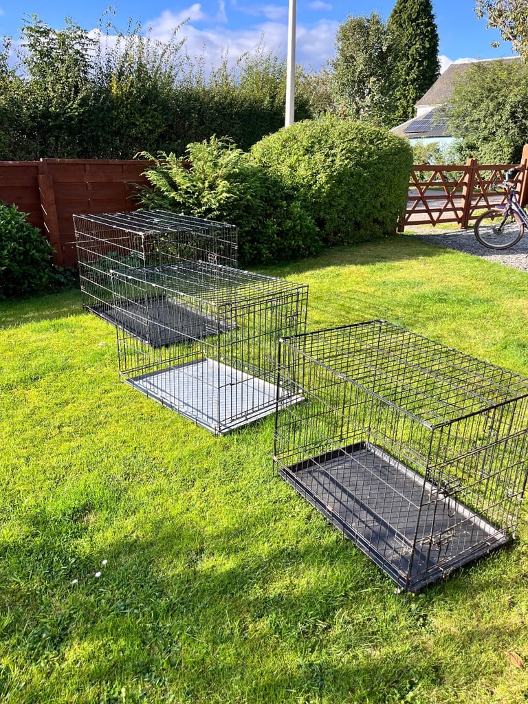 Dog cages and car ramp