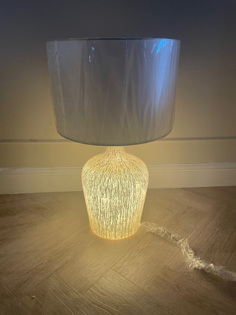 Dar dual light lamp