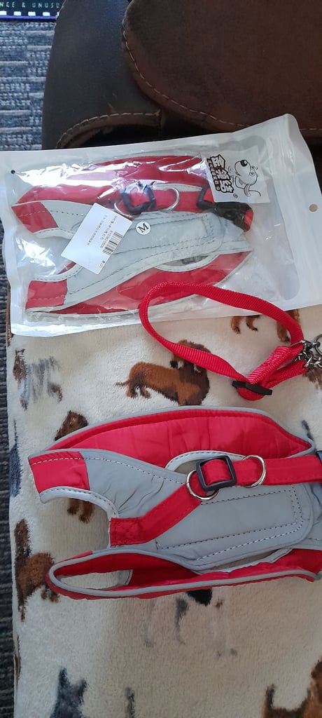 Dog harness 