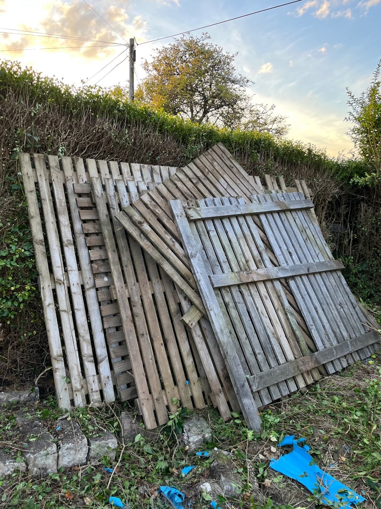 Garden fence 