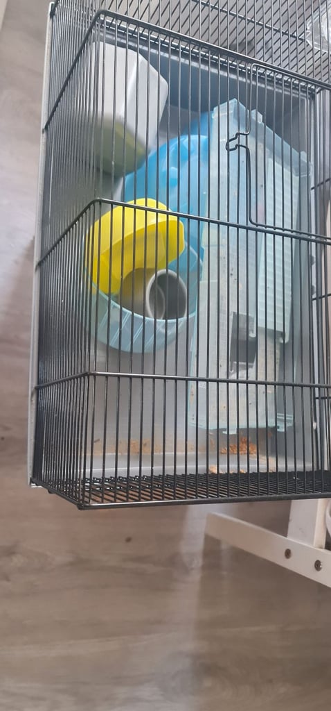 Hamster mouse gerbil small rodent cage