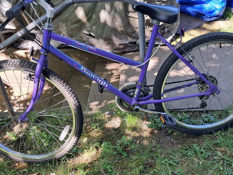 image for Raleigh teenagers, ladies bike,  26 inches tyres size, 12 speed gears, serviced 