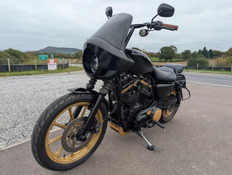 HARLEY-DAVIDSON SPORTSTER XL883N IRON