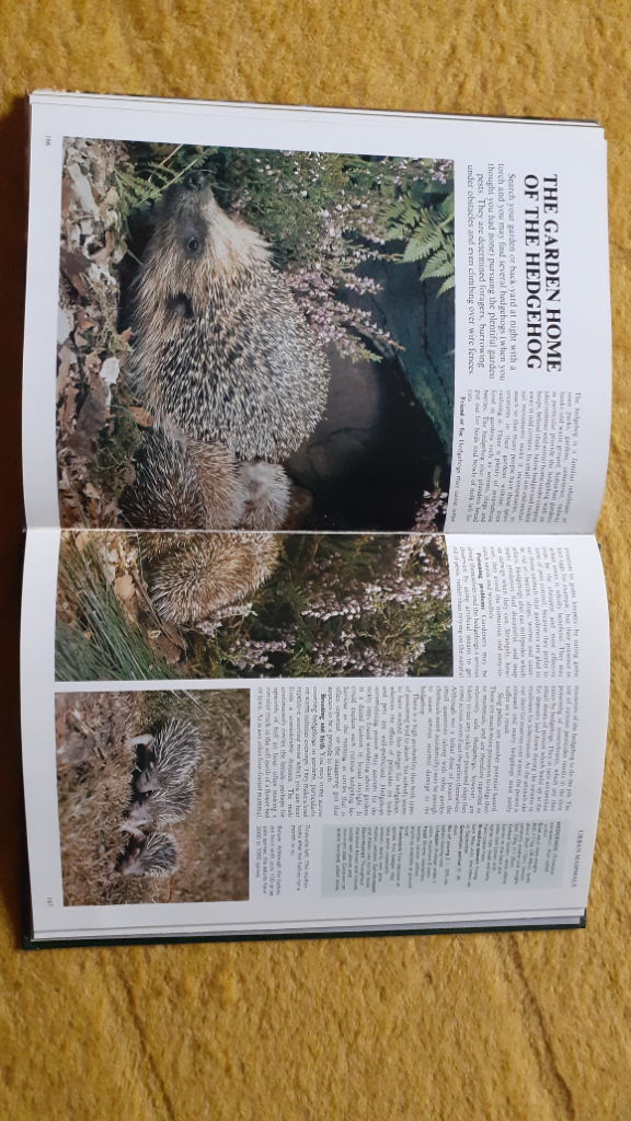 Wildlife On Your Doorstep Readers Digest