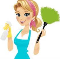 Domestic Cleaner, Housekeeper 