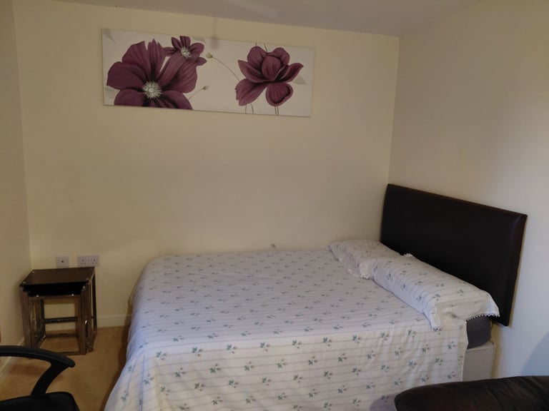 Large room with own shower and toilet 