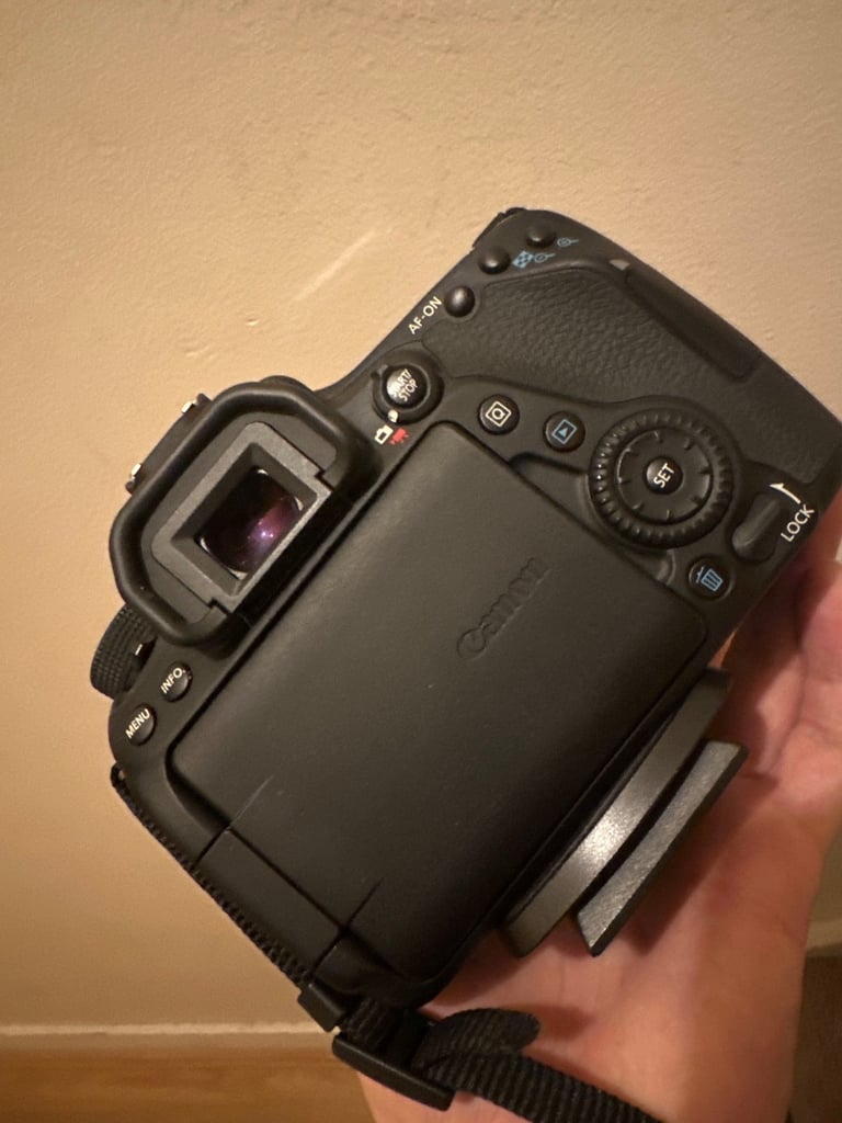 Cannon 80D DSLR (bargain)