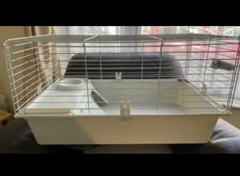 image for Guinea pig cage 