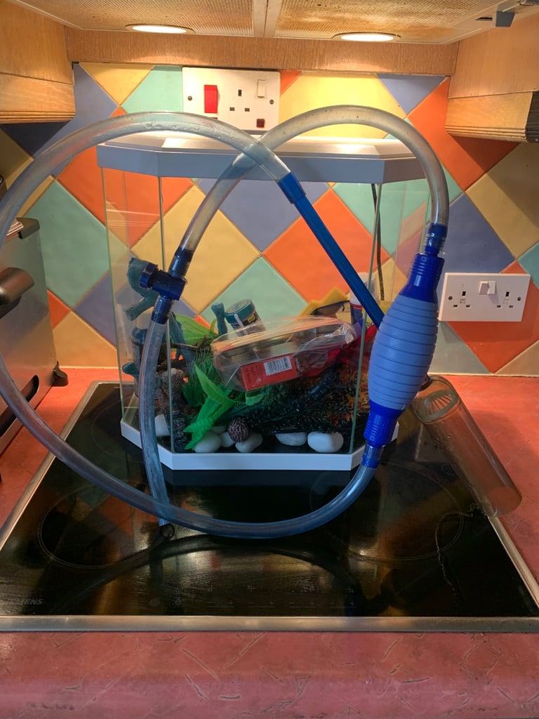 Fishtank and accessories 