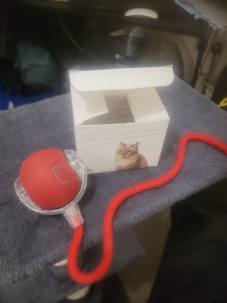 🐾 Complete Cat/Kitten Starter Bundle – Everything You Need! 🐾