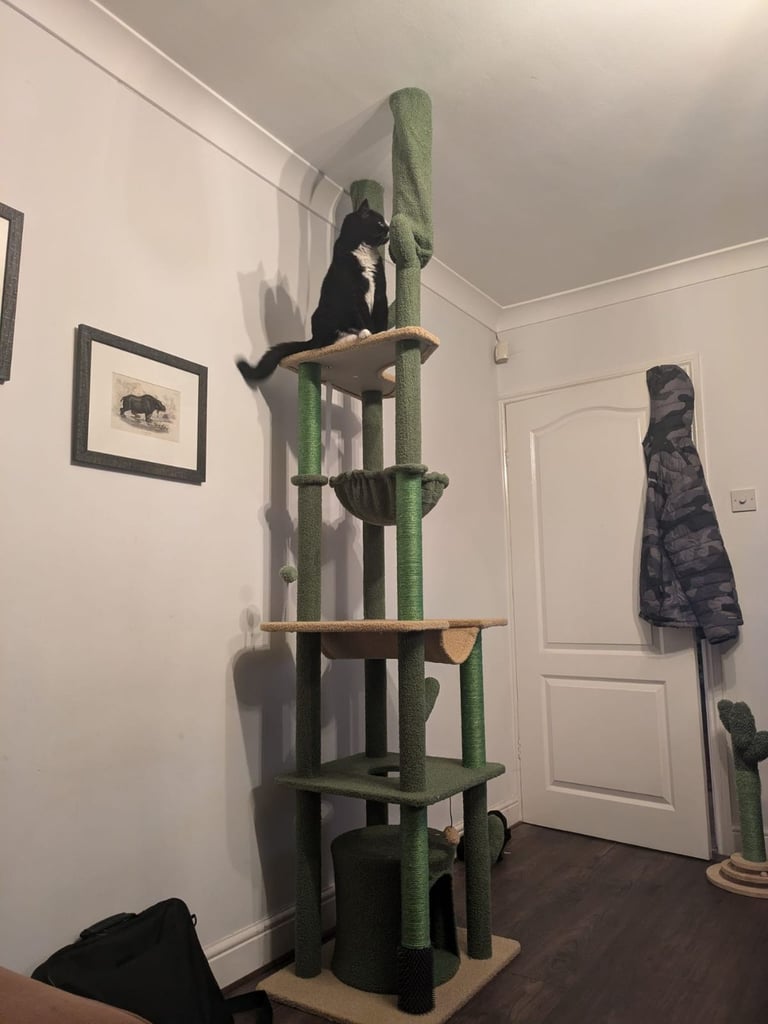 Cat Tree