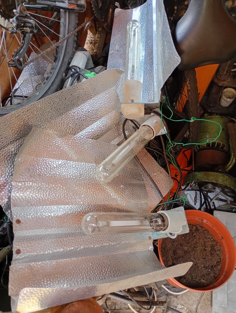 image for Heat bulb's £15