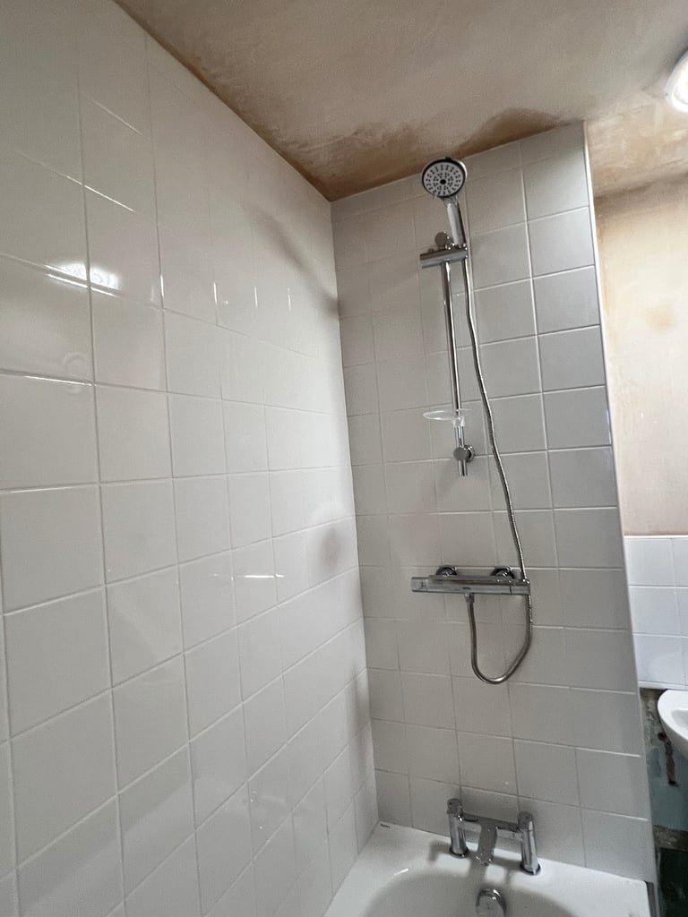 image for Plumber 🧑‍🔧 