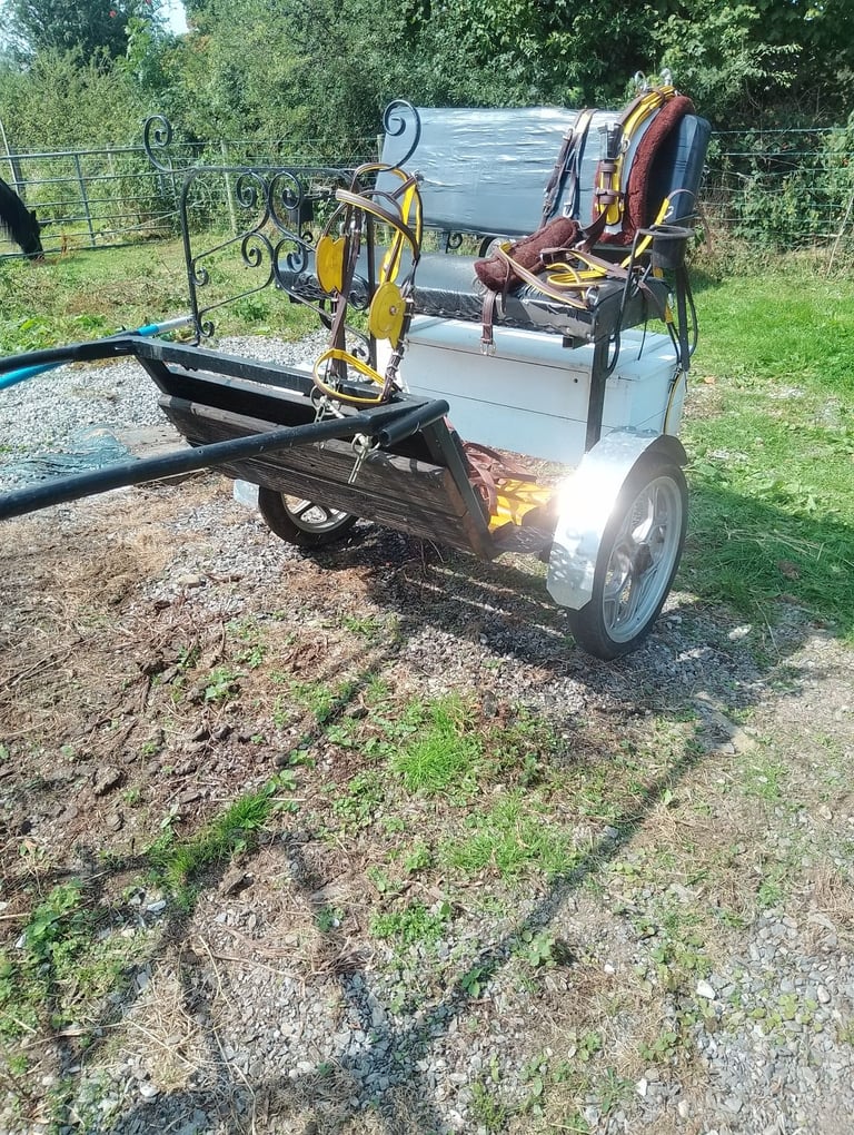 image for Road gig and harness 