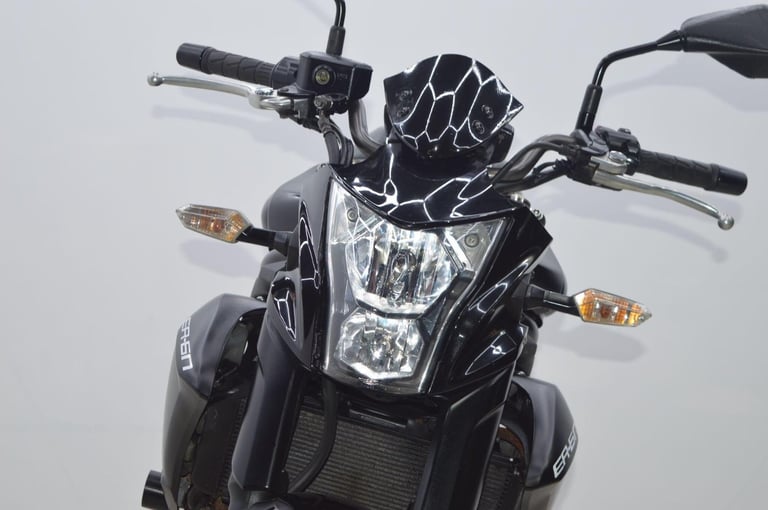 2015 Kawasaki ER-6N 650