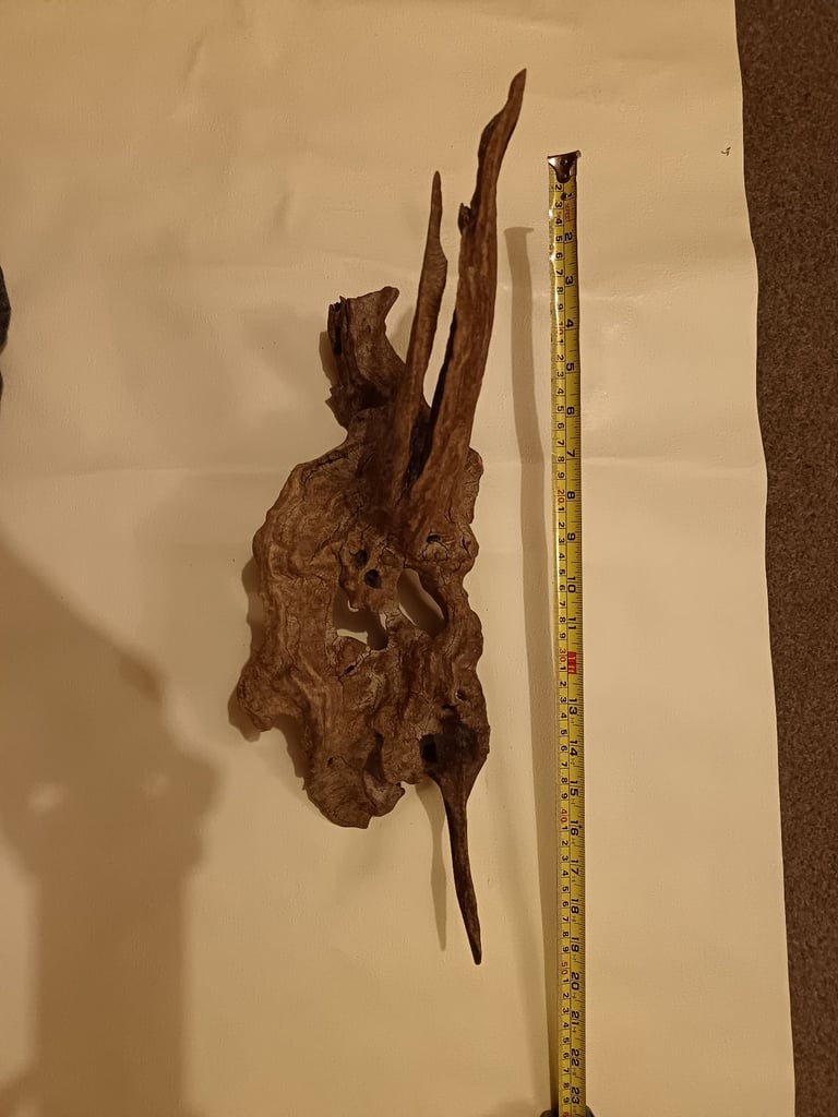 image for Petrified Wood for a fish tank 