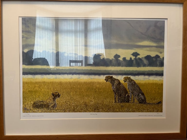 Large limited edition signed framed wildlife print picture