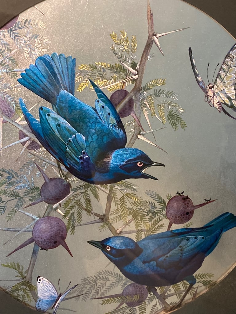 STUNNING BIRD PICTURE IN SILVER FRAME