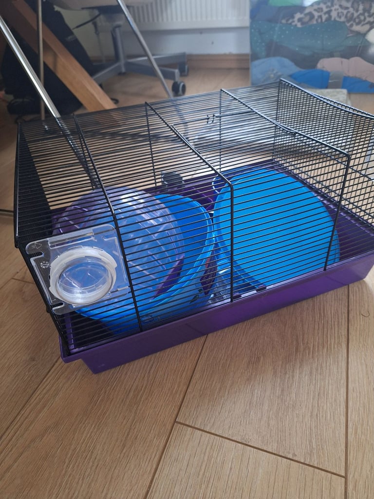 Hamster cage and accessories 