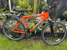 Men’s specialized mountain bike (may deliver)