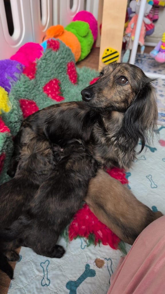 Only stunning boys left 