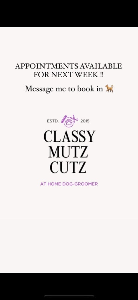 image for Dog Groomer 
