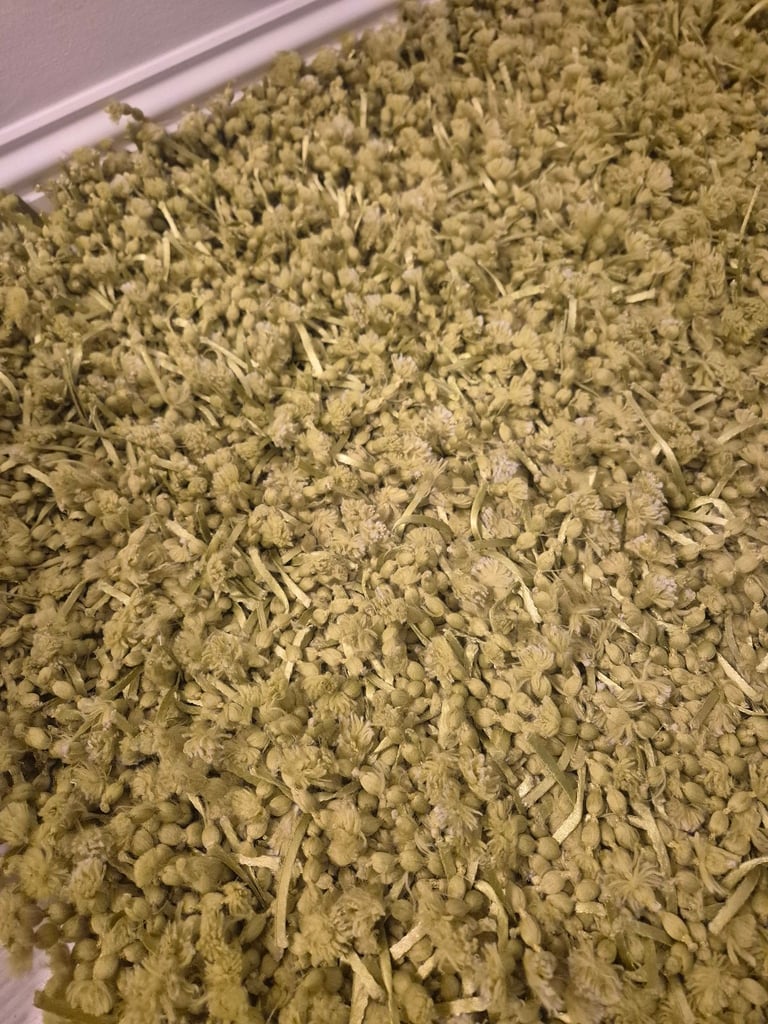 image for Shag pile rug