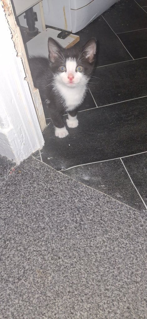 ready for a new home 