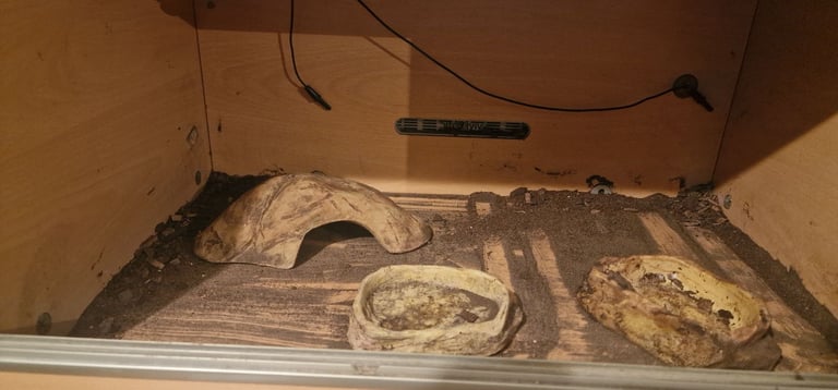 Vivarium with heat and light